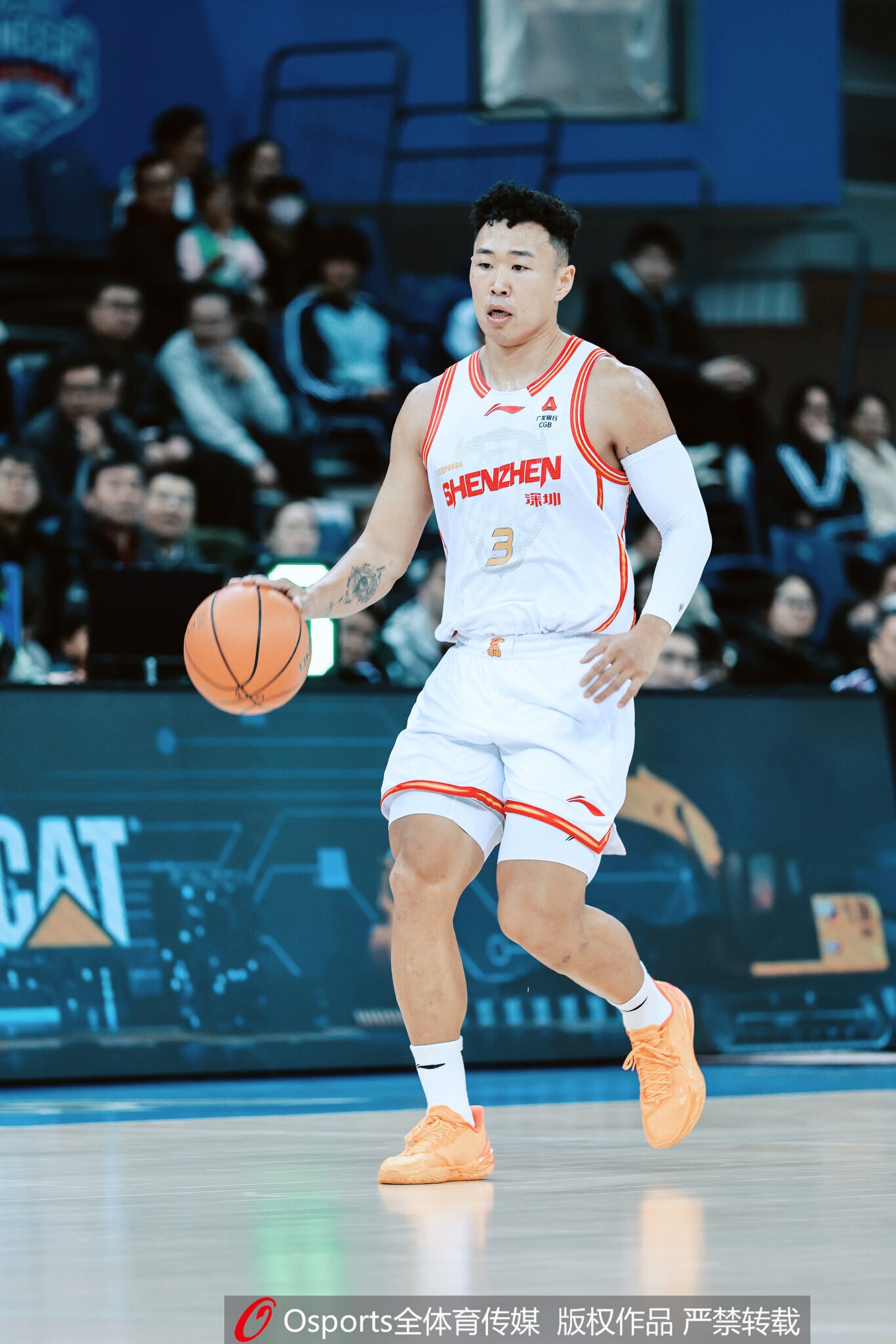 开云-近10季CBA本土MVP：丁彦雨航连庄 胡金秋王哲林均2次 易建联在列